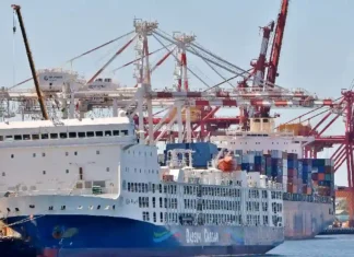 Fremantle: Houthi-Terror lässt verlandende Tiere für Israel leiden Fremantle Houthi-Terror lässt verlandende Tiere für Israel leiden