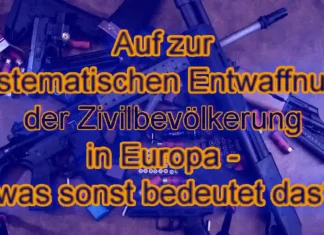 EU-Rat beschließt Datenbank zur Waffenkontrolle EU-Rat beschließt Datenbank zur Waffenkontrolle